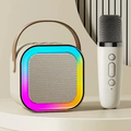 Portable Bluetooth Karaoke Speaker with Microphone